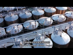 컨테이너 프로젝트가 성공한 몇 가지 예는 무엇입니까?